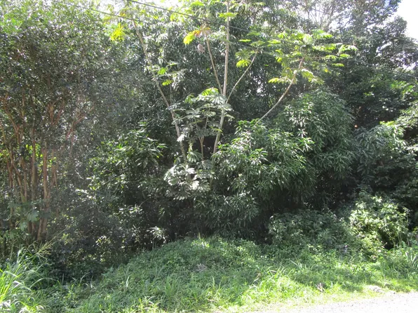 11th Ave Lot 737, Keaau, HI 96749