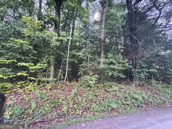 0 Chastain Rd, Sautee Nacoochee, GA 30571