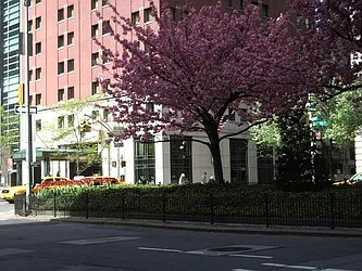 Rented by Nest Seekers International