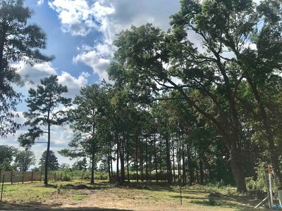 101 Ryan St, Section, AL, 35771