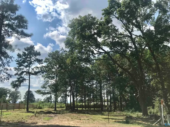 101 Ryan St, Section, AL 35771