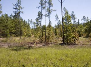 11 Coleman Chapel Rd TRACT 11, Bartow, GA 30413