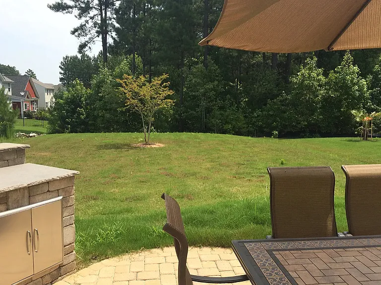 Wooded backyard