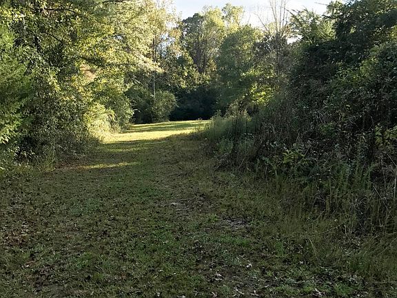 2nd image of 651 Lee Rd