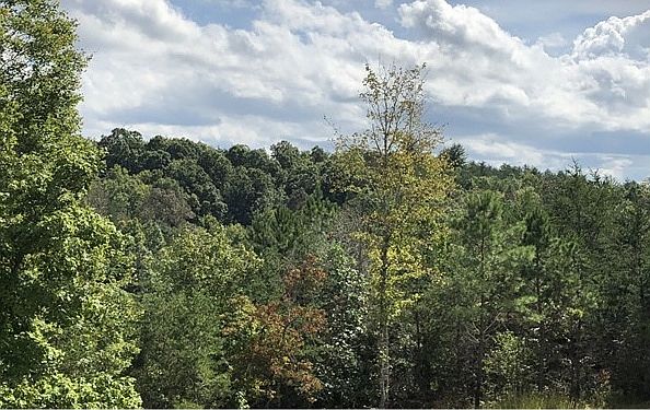 2nd image of 541 Beavers Ln