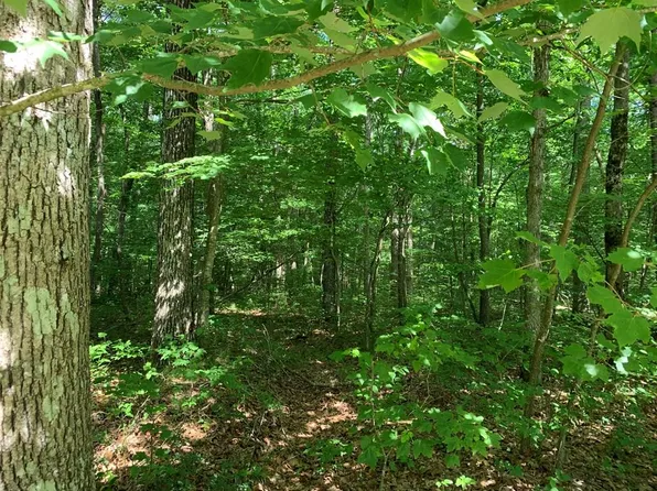 Hawks Bluff Rd, Spencer, TN 38585