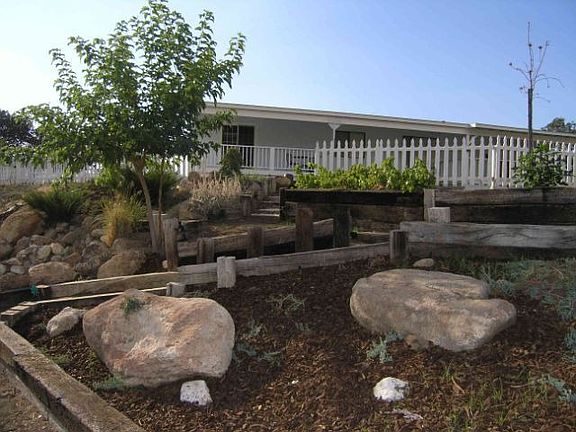 planter beds, fruit trees