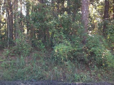 14 Chipola St #X, Panacea, FL, 32346