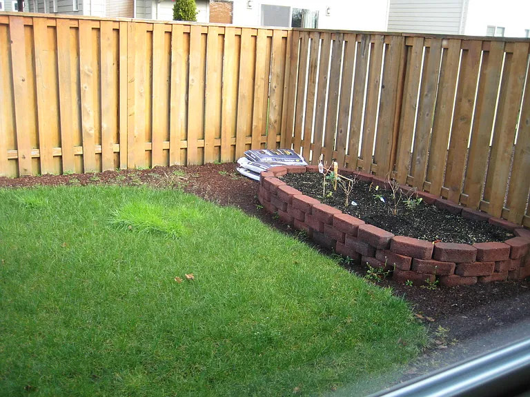 Backyard 2