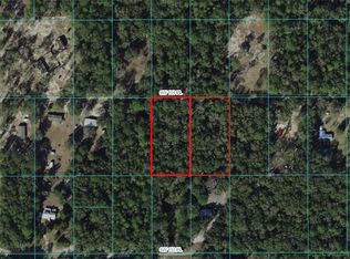 9850 SW 151st Pl, Dunnellon, FL 34432