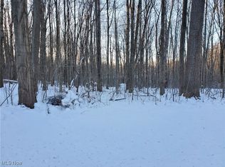 Geauga Lake Rd, Chagrin Falls, OH 44023