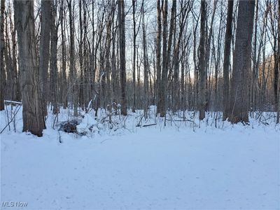 Geauga Lake Rd, Chagrin Falls, OH, 44023