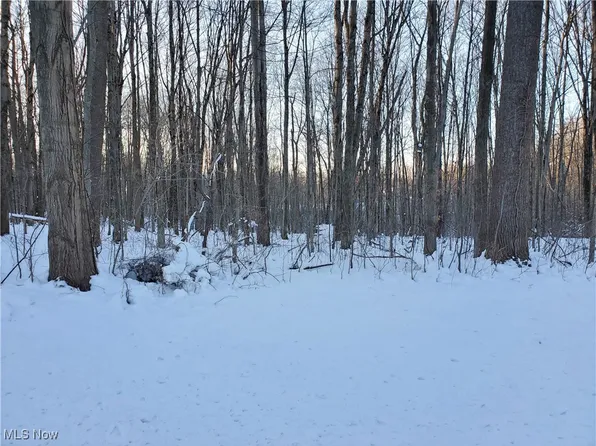 Geauga Lake Rd, Chagrin Falls, OH 44023