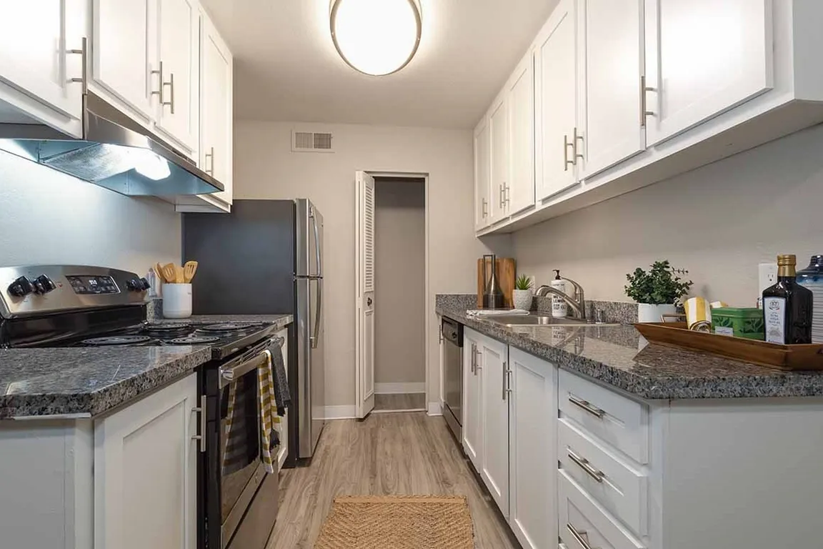 Apex Model Kitchen 2 Web