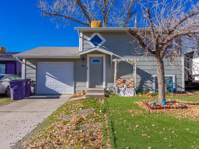 521 Horn Baker Ct, Clifton, CO, 81520