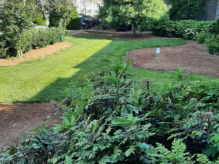 2020 Beech Ave #B12 — Photo 8