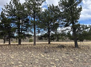 304 Brahma Circle, Hartsel, CO 80449