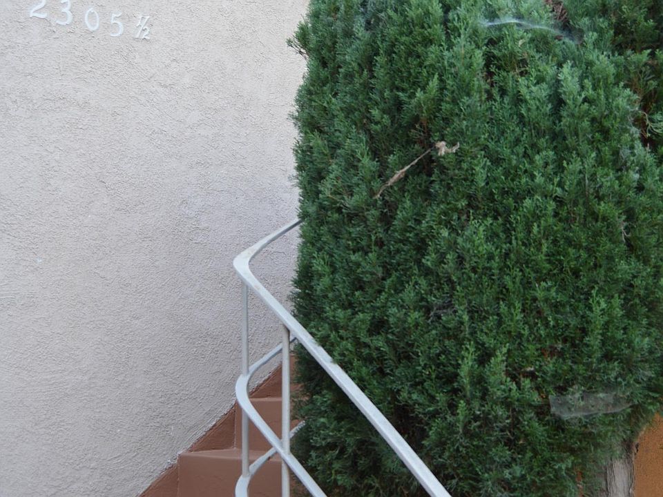 1st image of 2305 1/2 Oakwood Ave
