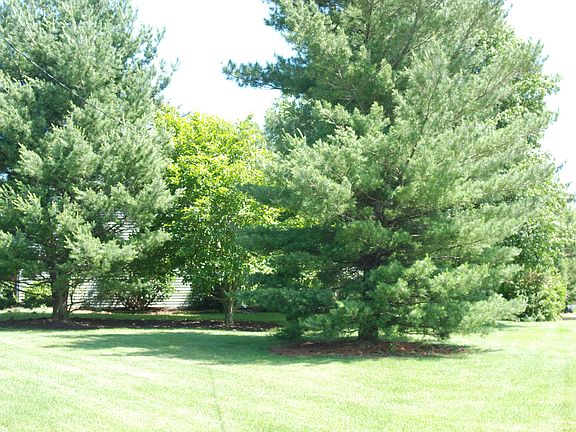 Side yard view