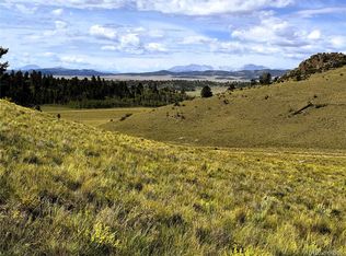8390 Chickasaw Road LOT 1755, Hartsel, CO 80449