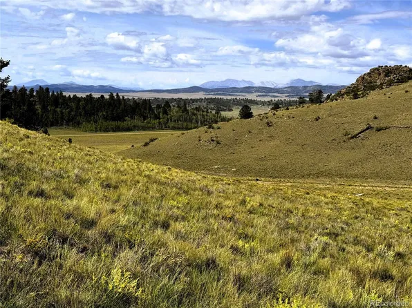 8390 Chickasaw Road LOT 1755, Hartsel, CO 80449