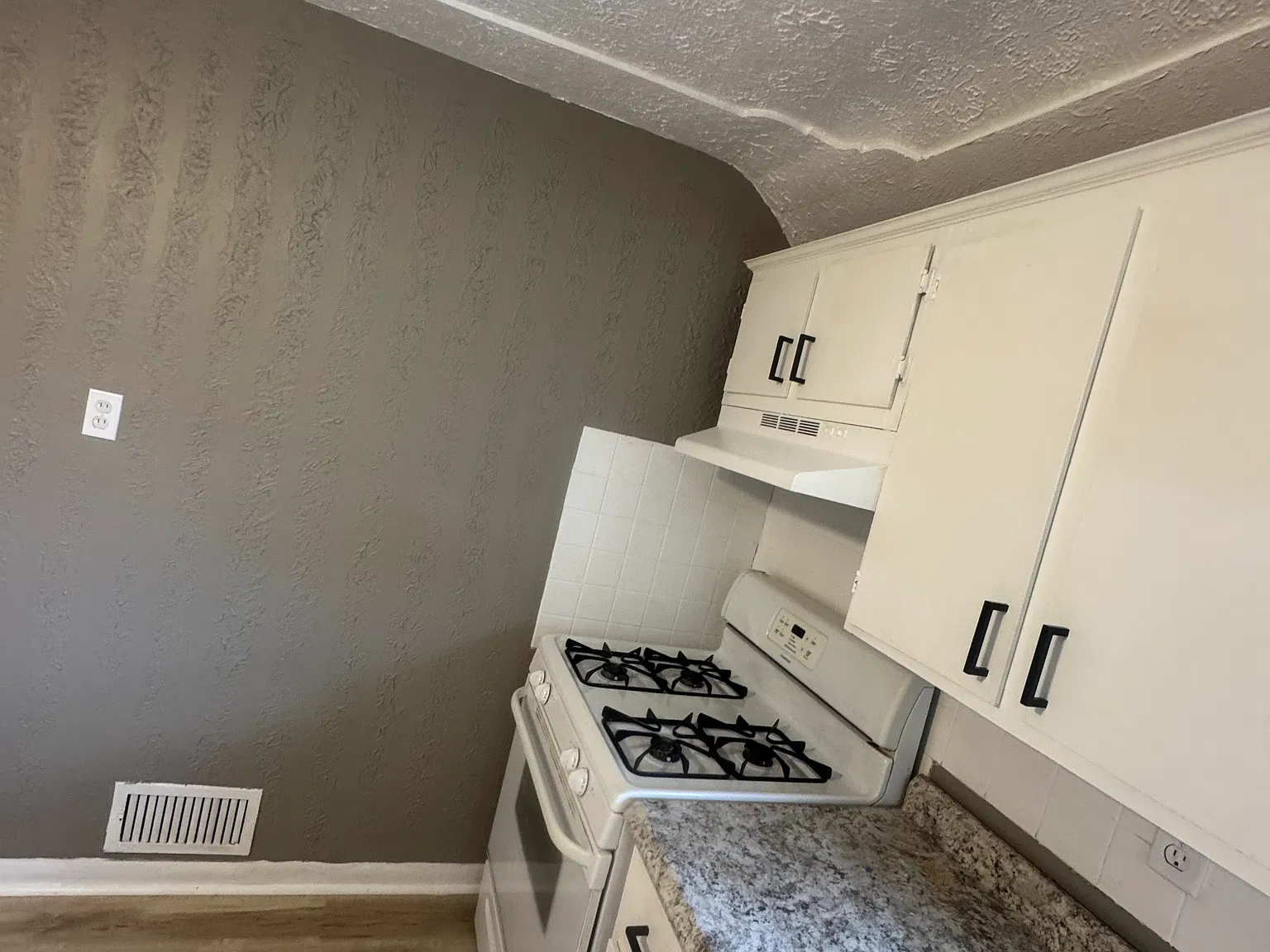 1 bed, $950 — Photo 3