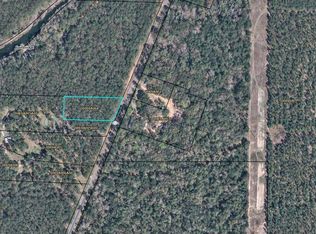 0 E River Rd, Bainbridge, GA 39817