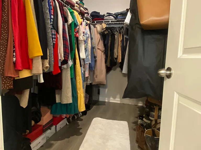 Primary Closet