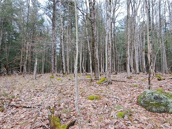2nd image of 0 Sweet Point Rd Lot 60