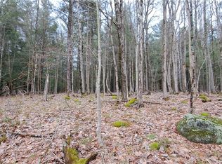 Sweet Point Rd Lot 60, Alexandria Bay, NY 13607