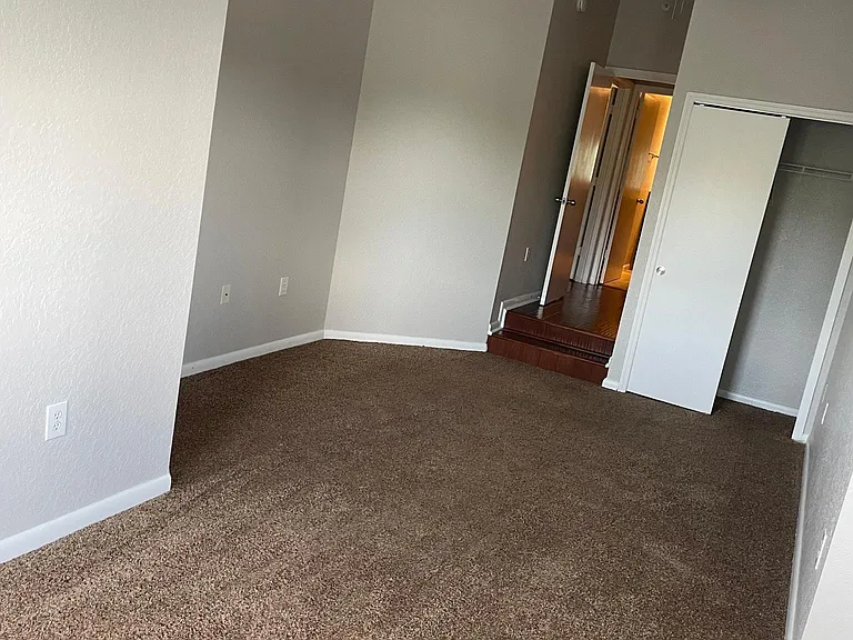 520 S Armenia Ave #1239G — Photo 21