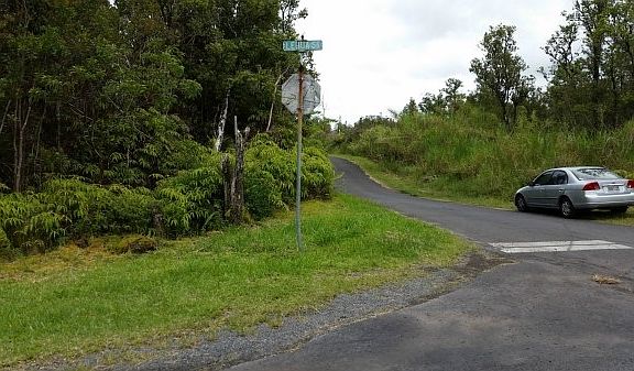 3rd image of Lehua & Orchid Lot 7099