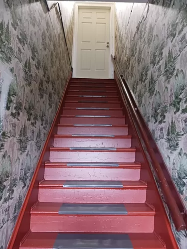 Main stairs to enter 2nd floor - 6 Avon St