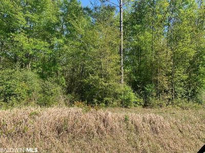 29200 County Road 68 Ext, Robertsdale, AL, 36567