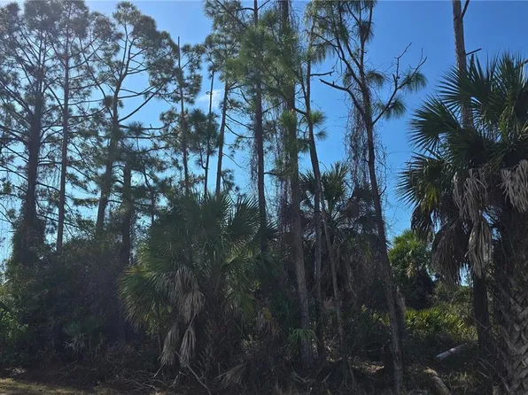 Lot 29 / Block 254 ALLEGHENY LANE LOT 29, NORTH PORT, FL 34286