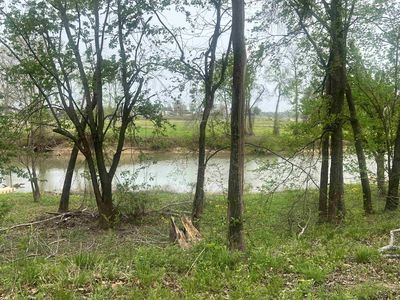 350 Elizabeth Ln, Savannah, TN, 38372