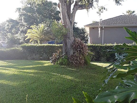 2nd image of 31 Carlson Ln