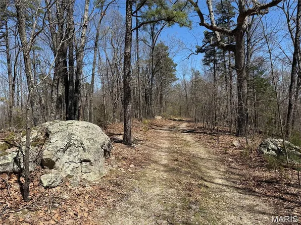 1 Off Frk #2531, Belleview, MO 63623