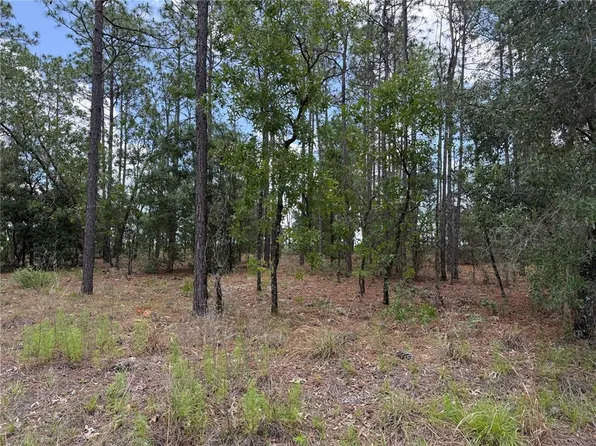 NW Buena Vista Rd Lot 29, Dunnellon, FL 34431