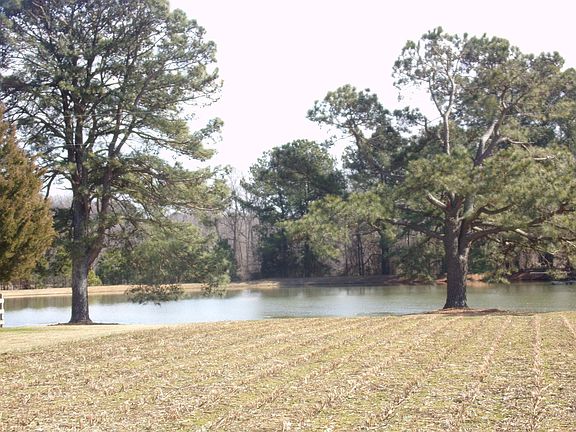 Standing on deck overlooking fish pond