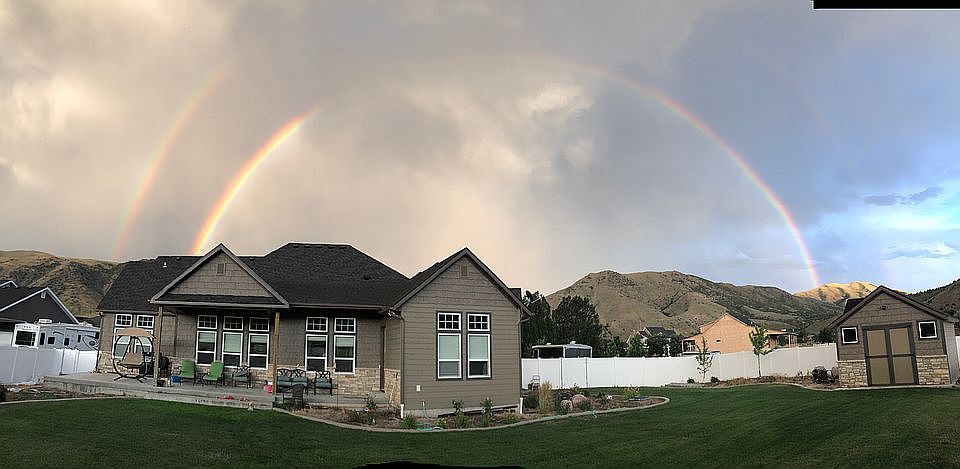 Back yard 