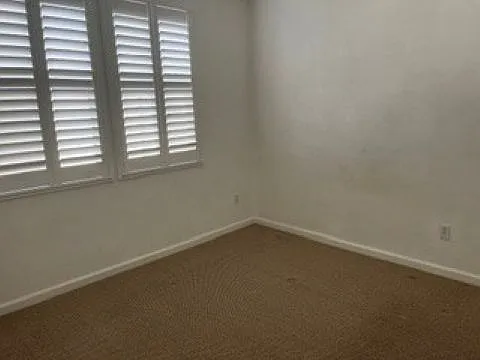 3856 Purple Finch Ln — Photo 12