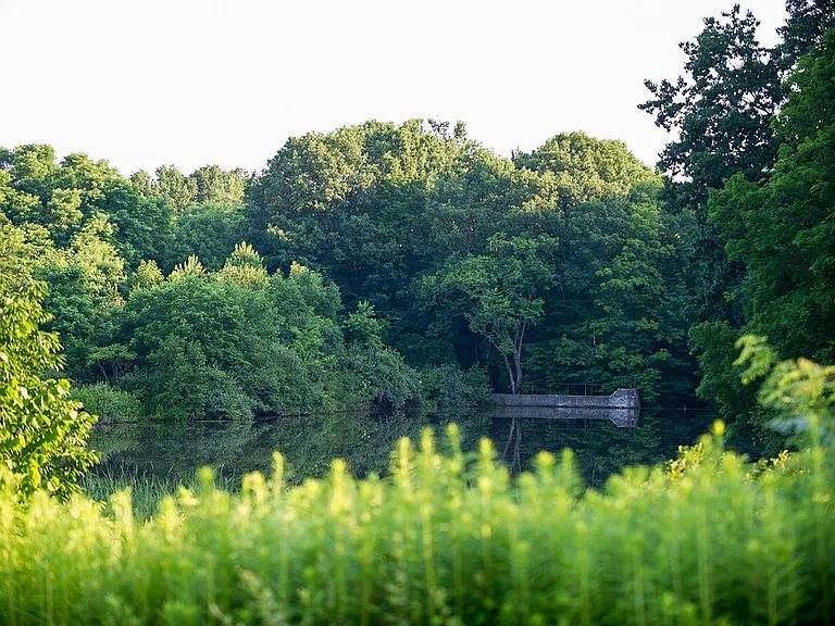 The Spinney at Pond View — Photo 15