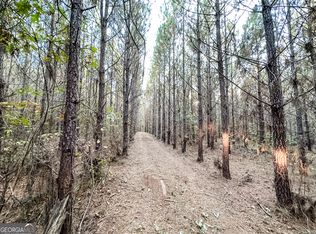 TRACT 2B Jordan Rd #17.79, Monticello, GA 31064