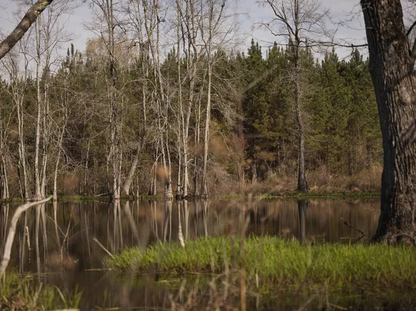 Kelly Creek Rd, Cropwell, AL 35054