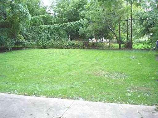 large back yard