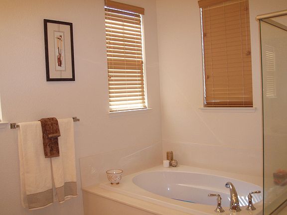 Luxurious Master Bath