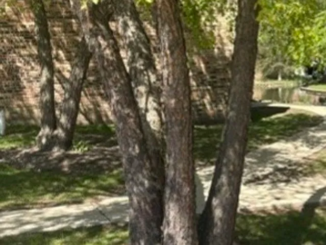 200 S Waters Edge Dr #202 — Photo 7