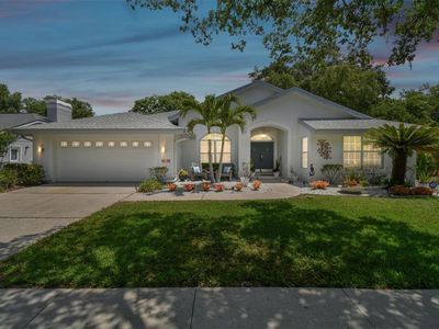 15924 Ellsworth Dr, Tampa, FL, 33647