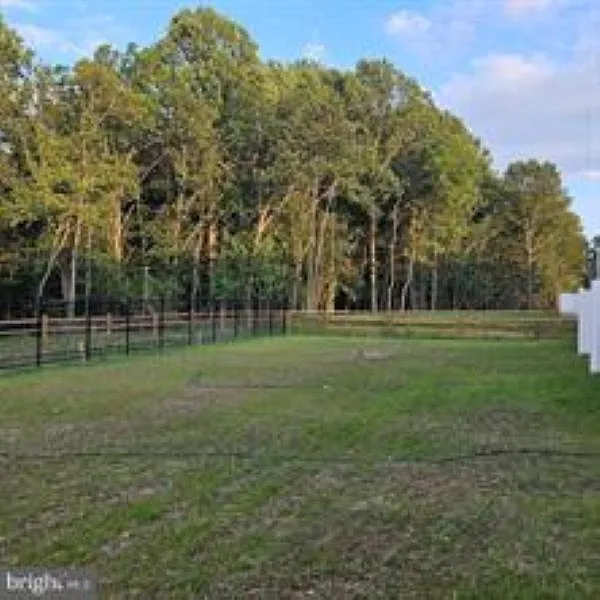 3 bed, 1558 sqft, $3,000 — Photo 2